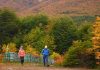 Las recomendaciones para hacer senderismo en Tierra del Fuego