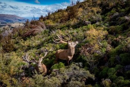 Un paraíso de la caza y la pesca