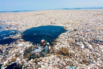 La Isla de Plástico en el Océano Pacífico