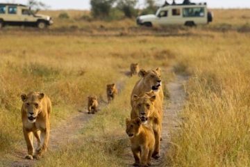 El turismo en reservas naturales