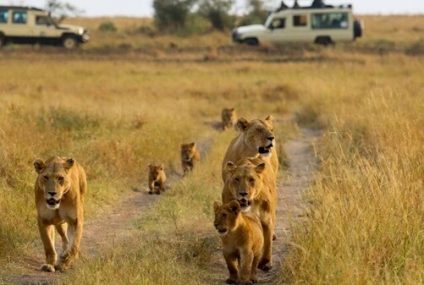 El turismo en reservas naturales