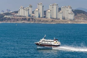 Un ferri chocó a una ballena