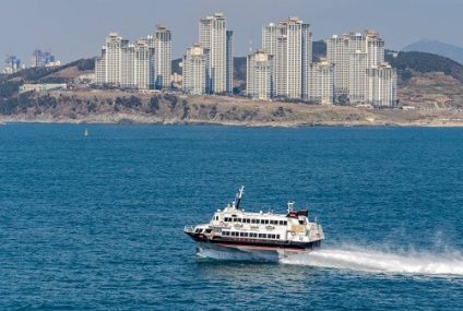 Un ferri chocó a una ballena