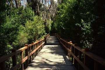 Tres destinos Patagónicos para hacer trekking y disfrutar de la naturaleza