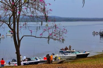 Sexta edición del Concurso de Pesca Boga y Palometa