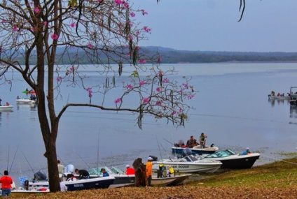 Sexta edición del Concurso de Pesca Boga y Palometa