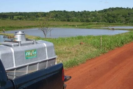 Misiones apuesta a la piscicultura