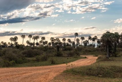 La batalla contra las especies invasoras en Argentina