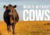 Un documental plantea por qué la idea de “un mundo sin vacas” no serviría para nada