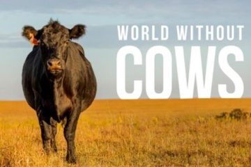 Un documental plantea por qué la idea de “un mundo sin vacas” no serviría para nada