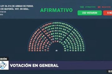 Media sanción a un proyecto para regularizar la tenencia de armas