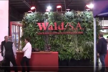 Comunicado de Wald SA