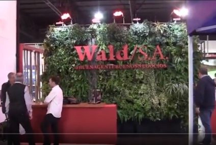 Comunicado de Wald SA