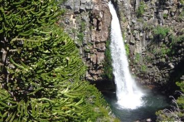 Habilitaron dos emblemáticos senderos en el Parque Nacional Lanín