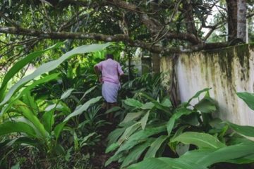 El ecoturismo en Latinoamérica, ¿positivo o negativo para la región?