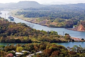 Cada vez más especies del Atlántico y el Pacífico cruzan de un lado a otro del canal