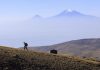Armenia, destino del año para el turismo de aventura