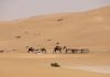 Aventura en el desierto de Abu Dhabi