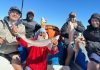 El regreso al mar